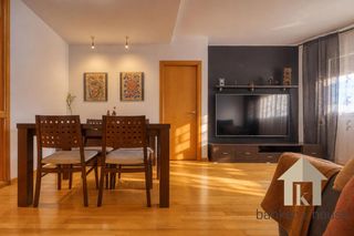 Pis a Catalunya - Fontetes