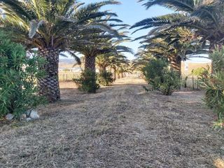 Finca rústica a Tarifa Ciudad. Finca rústica con casa junto al río y playa de los lances en tar