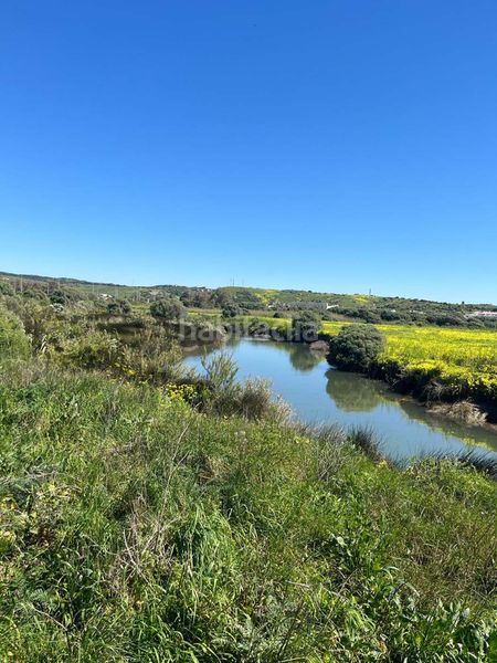 Foto 2b449b2d-ad01-43e7-88c0-6a4929c3b79e. Finca rústica a Tarifa ciudad Tarifa