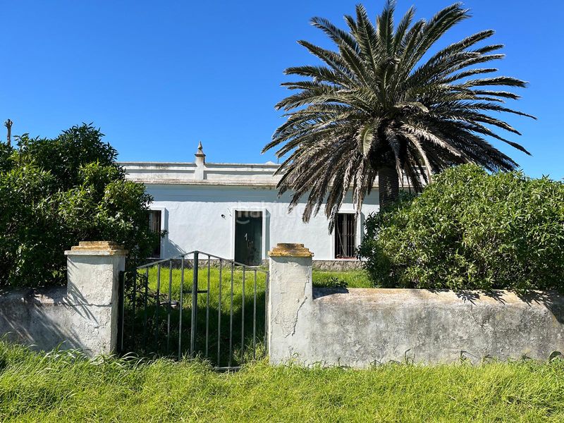 Foto 6411b0a7-bf81-4e57-b454-635512fa93ad. Finca rústica a Tarifa ciudad Tarifa