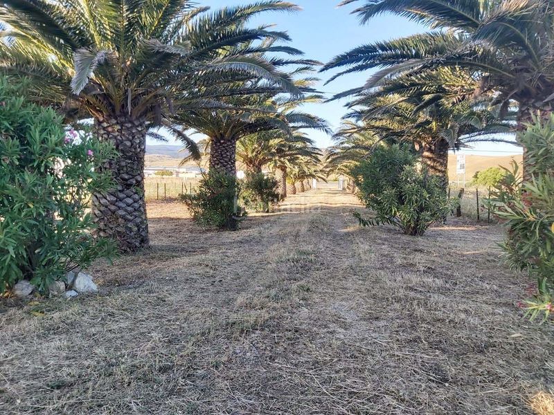 Foto c920a64a-385b-4690-8c34-4b4eaefffd1a. Finca rústica a Tarifa ciudad Tarifa