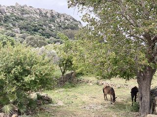 Masia a Tarifa Ciudad. Se vende finca de 2093 m2 con casa en un entorno único