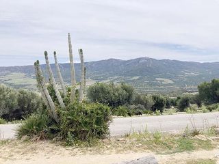 Masía en Tarifa Ciudad. Se vende finca de 2093 m2 con casa en un entorno único