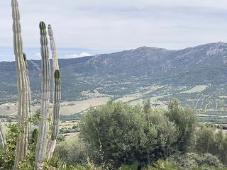 Bauernhof in Tarifa Ciudad. Se vende finca de 2093 m2 con casa en un entorno único