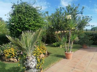 Chalet à Carlota (La). Chalet con piscina y jardin en el arrecife, la carlota