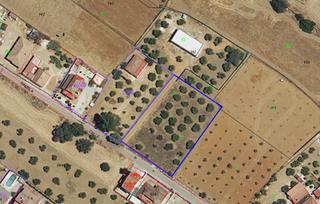 Propriété à Carlota (La). Finca rustica en el arrecife, la carlota