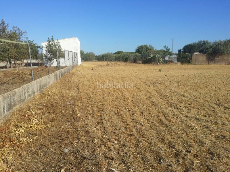 Foto 6042dd77-6f08-4258-8b34-e104b64451ab. Finca rústica a Carlota (La)