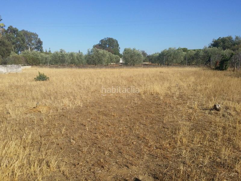 Foto f0a4d15b-6593-4fed-86e2-6a465c17c82a. Finca rústica a Carlota (La)