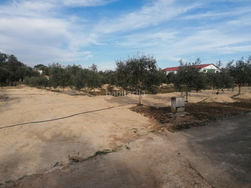 Foto 02936ef5-62fb-44b3-9bbf-8dcac3a1be97. Propriété dans Carlota (La)