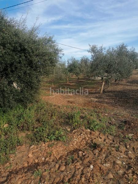 Foto 104cb850-bcff-4b87-8a14-d73991d5a987. Propriété dans Carlota (La)