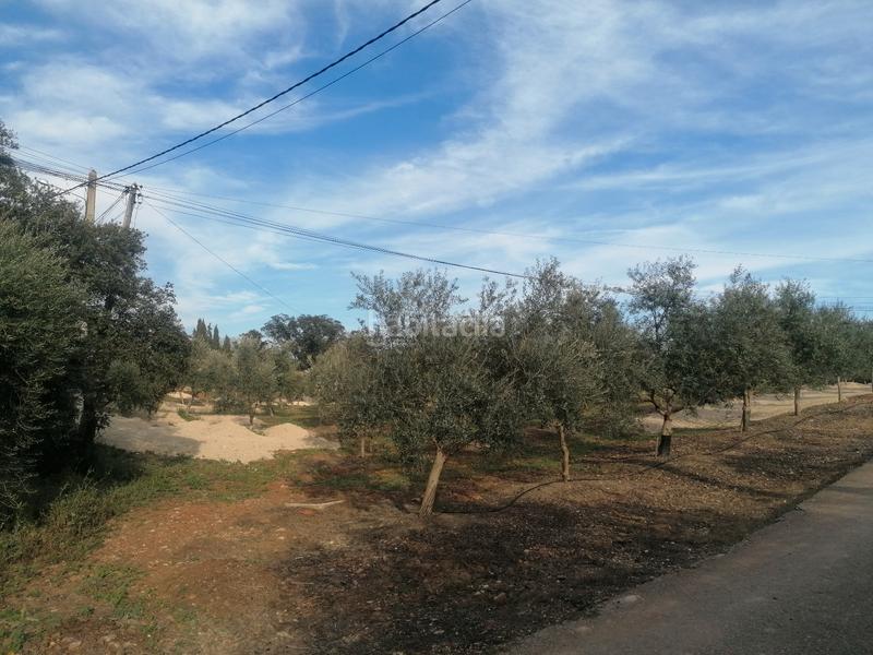 Foto 4370c763-5df9-44cf-9fea-8842d2bf6726. Propriété dans Carlota (La)