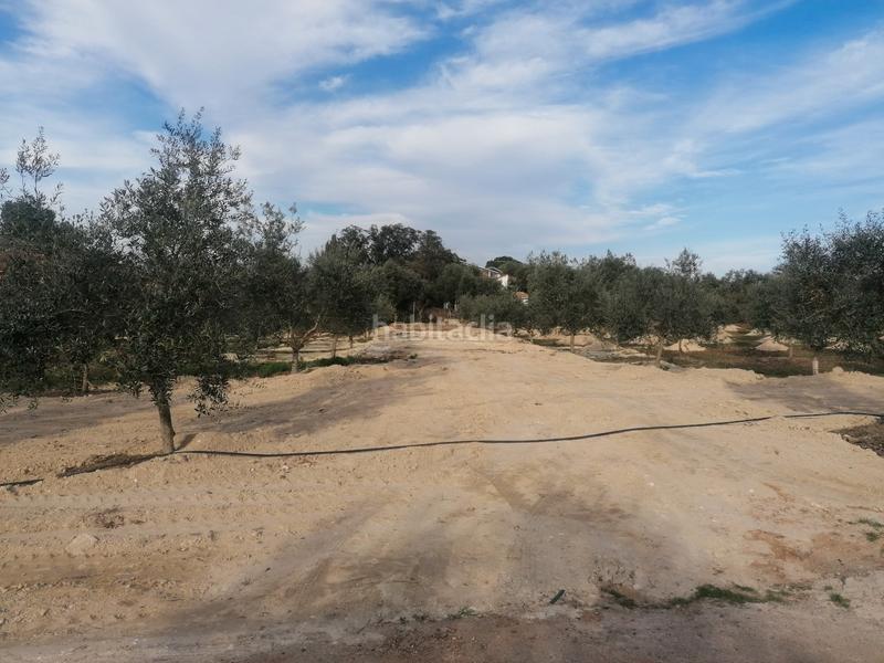 Foto 833f186d-e2fd-4723-9603-d8e67c55d22b. Propriété dans Carlota (La)