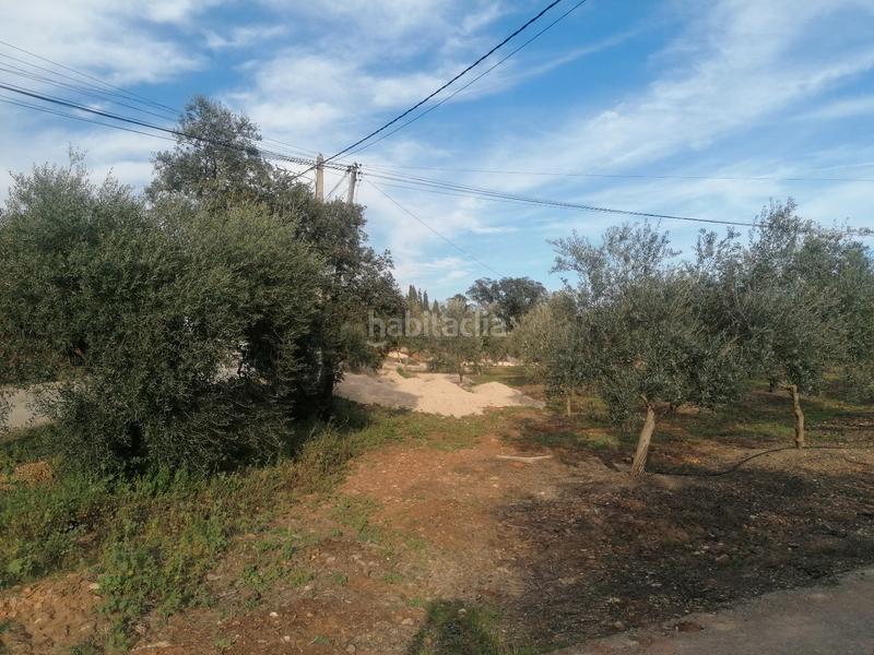 Foto fc3999f6-3e0b-44a4-bbcf-5e9003e79e89. Propriété dans Carlota (La)