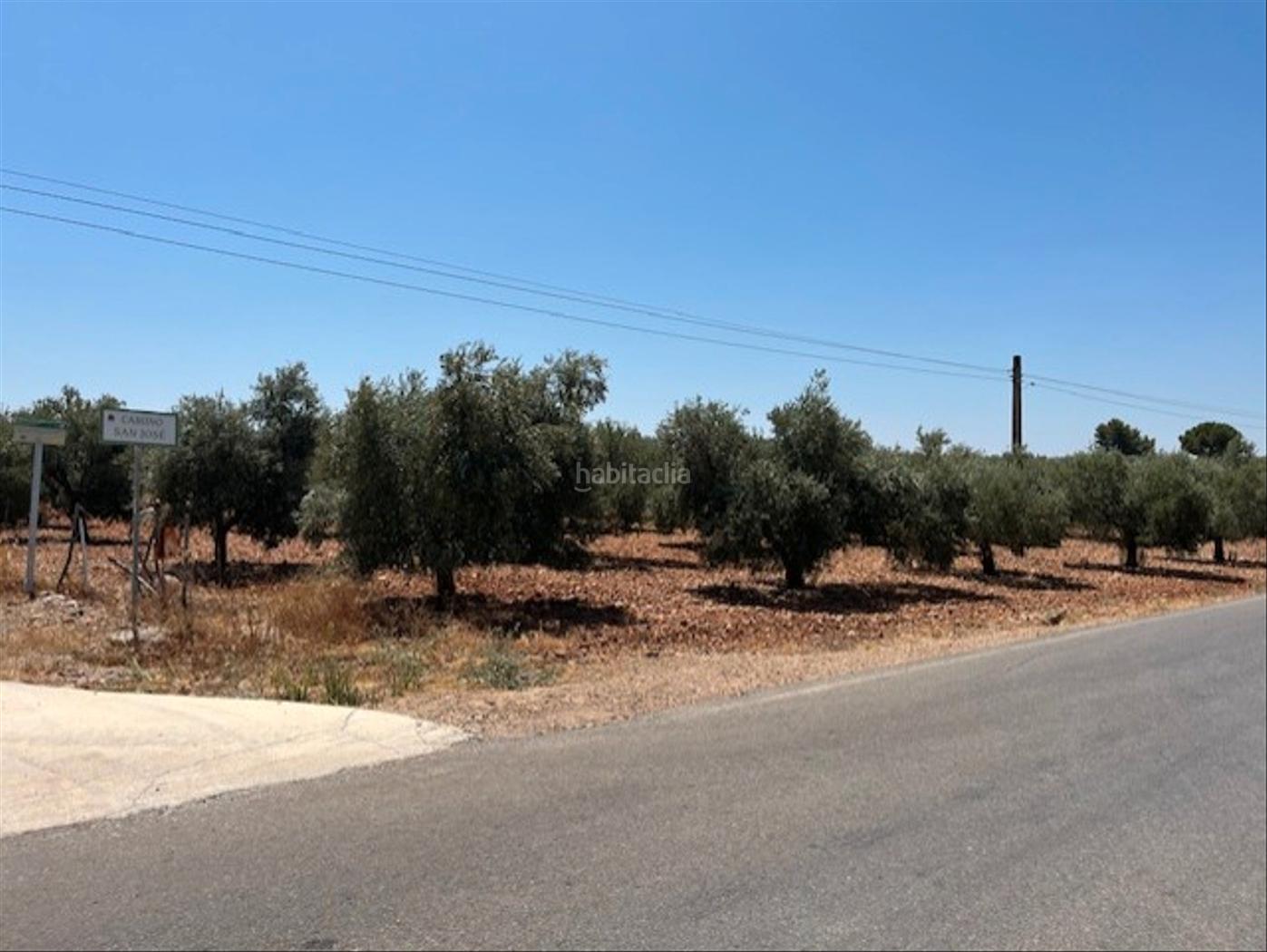 PARCELA OLIVAR EL GARABATO, LA CARLOTA Carlota (La)