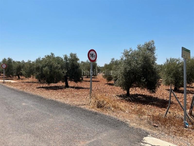 Foto e07f54a5-d730-496c-b292-86c5b4d19c6f. Finca rústica parcela olivar el garabato, la carlota en Carlota (La)