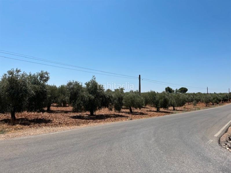 Foto e09a35a3-662a-45e6-8021-66bfb1248473. Finca rústica parcela olivar el garabato, la carlota en Carlota (La)