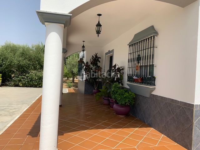 Foto c4047811-5776-4261-a785-da4173cf5079. Xalet amb xemeneia aparcament piscina a Carlota (La)