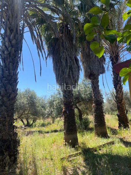 Foto 0d693fee-28ca-4124-94dd-2bb38a51a32d. Xalet amb xemeneia aparcament piscina a Carlota (La)