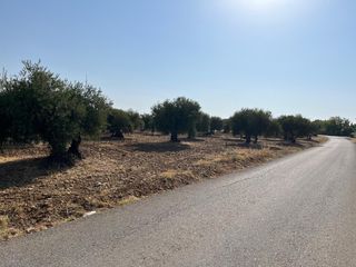 Landgut in Carlota (La). Parcela en venta en la carlota el rinconcillo