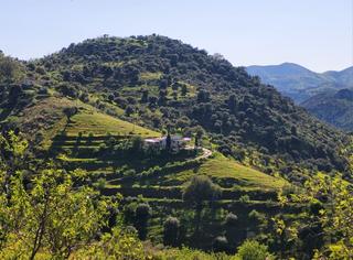Masia a N/a. Casa rural en venta en barranco del sol almogía , málaga