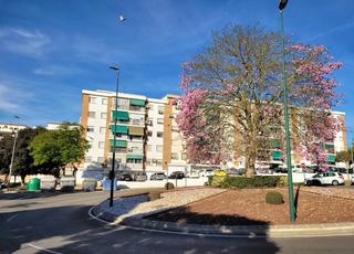 Pis en Calle el copo 13. Piso en venta en alegra de la huerta mlaga, mlaga