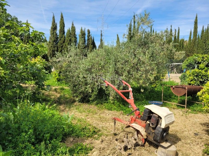 Foto 139a022a-dc8f-43db-9421-f60d5a707f97. Casa amb calefacció aparcament piscina a Casalpalma - Fahala Cártama