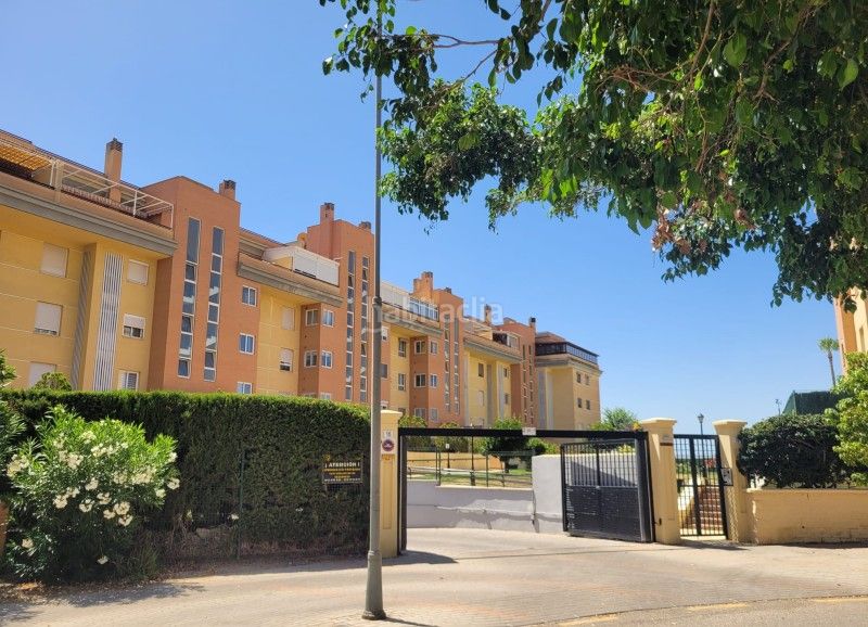Foto 3f6c6588-bcc1-4fa0-b247-fd6035944d60. Pis a calle josé carrión de mula 14 a San Alberto - La Alcubilla - Florisol Málaga