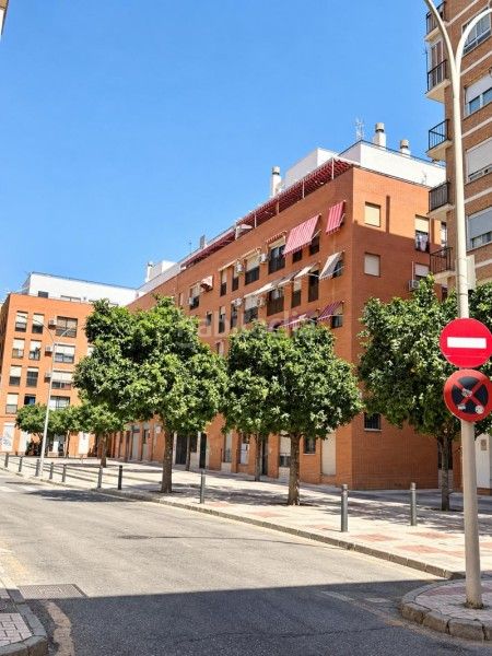 Foto d905b3f1-8669-40ad-8f51-72720d964958. Pis a callejón sierra de aracena 5 a La Goleta - San Felipe Neri Málaga
