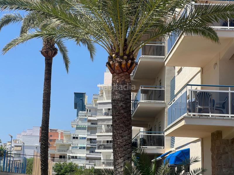 Foto c067143b-41fd-4212-8ab8-79cf54fc1c3a. Apartamento oportunidad en primera línea de playa en gandía! en Gandia