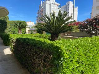 Apartamento en Playa de Gandía