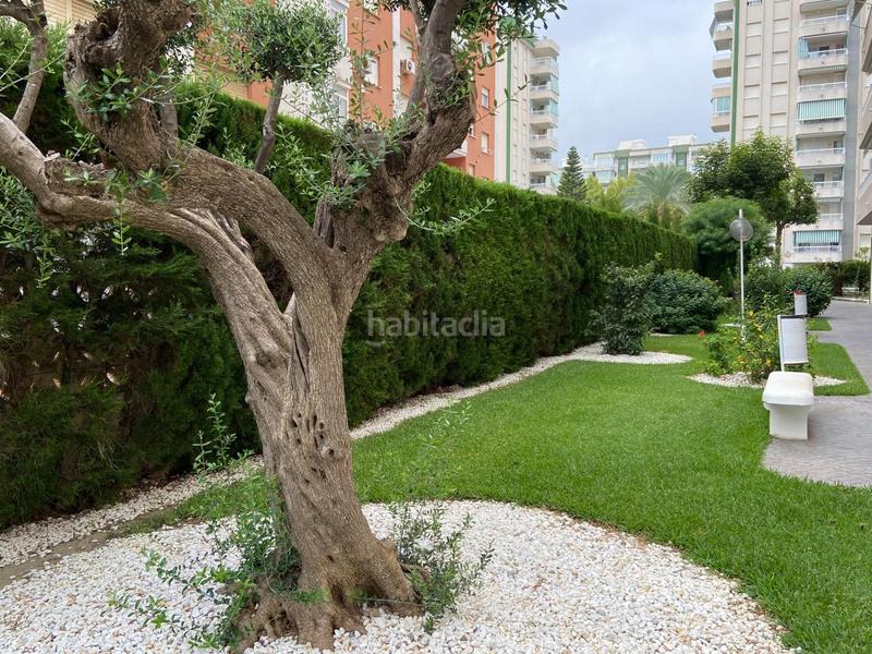 Foto 256a0973-04ce-43ea-9c0a-eb6c167ee02e. Alquiler apartamento alquiler de temporada en la playa en Gandia