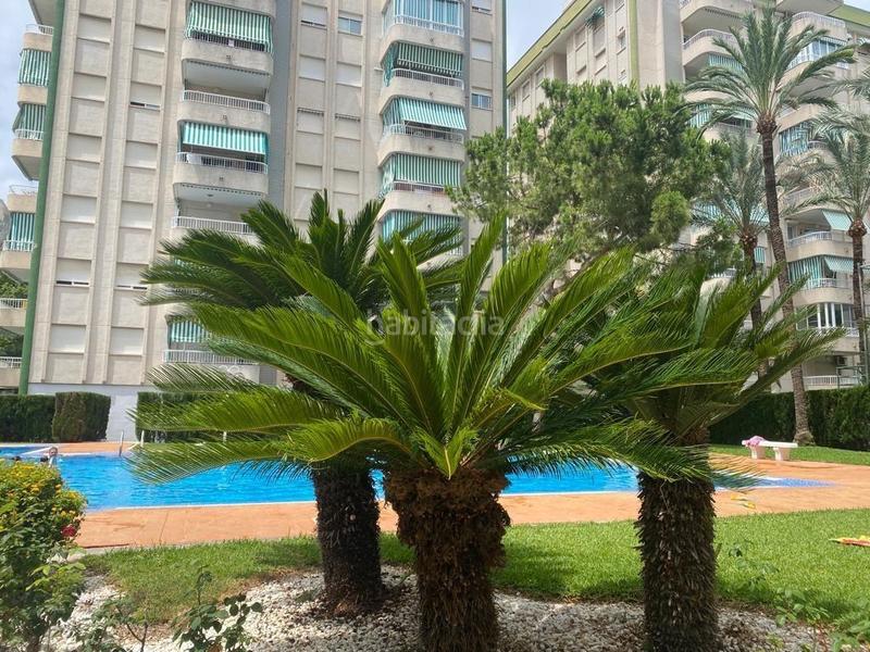 Foto 265b09ca-a993-429c-8d1a-f1a039f1747d. Alquiler apartamento  en alquiler temporal para unas vacaciones increíbles en Gandia