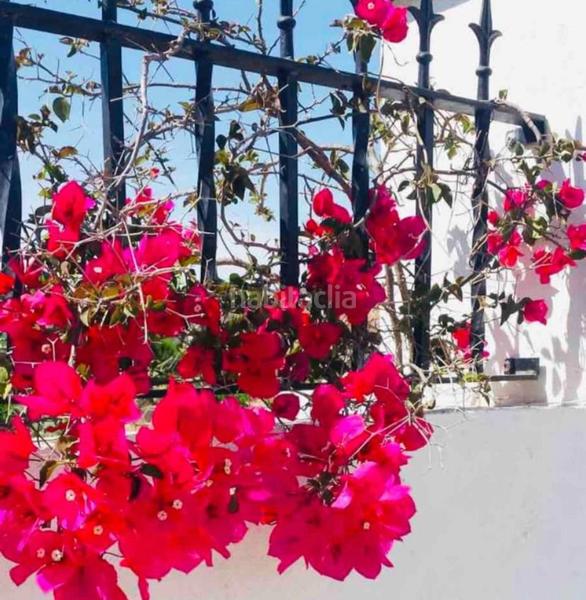 Foto 4b642a36-e08a-4531-837e-b6619fbf5f84. Casale con riscaldamento parcheggio piscina in Plaza Elíptica - República Argentina Gandia