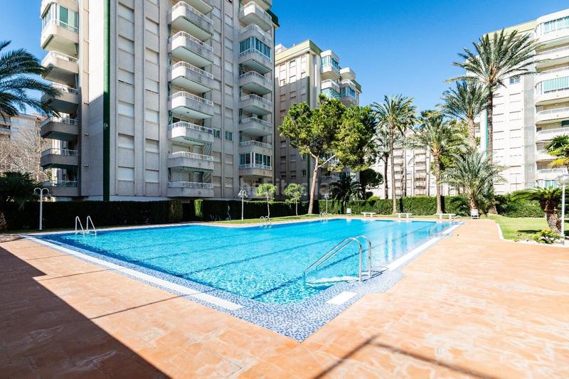 Foto ae6ab9ff-1d6d-4775-a163-68e2de2fbd61. Piccolo appartamento con parcheggio piscina in Playa de Gandía Gandia