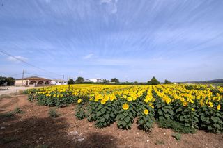 Casale in Parque Atlántico - Ronda este. Finca con 3 viviendas en rajamancera junto a la ina