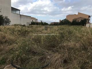 Terreny residencial a Muro. Mega solar urbanizable con vistas en muro