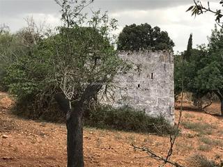 Terreny residencial a Muro. Rustica con caseta en muro