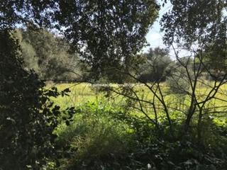 Residential Plot in Llubí. Terreno muy privado y con encanto