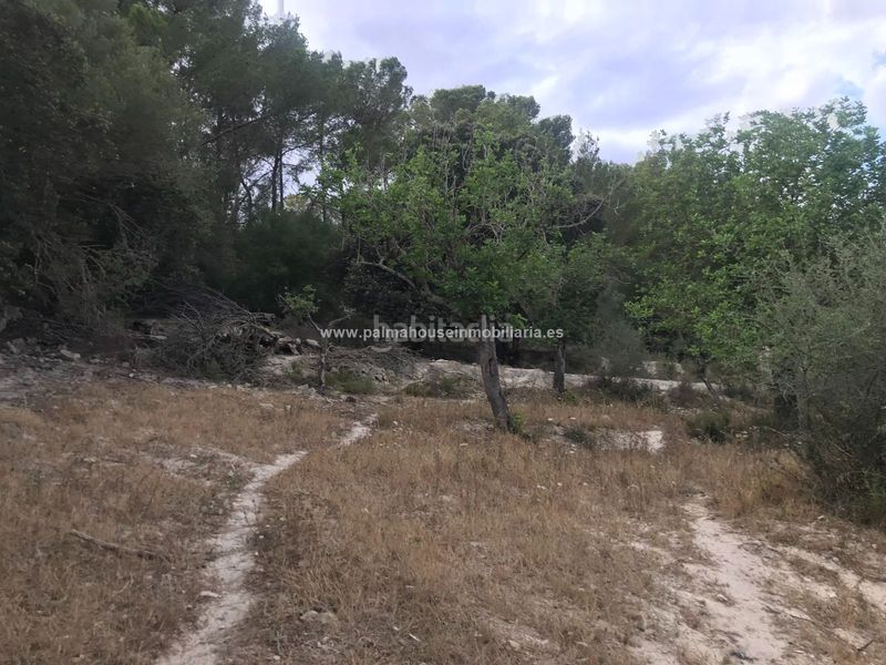 Foto 1c1f280f-6a48-428d-9bfd-c7771a3fa20e. Masia amb calefacció aparcament a Maria de la Salut