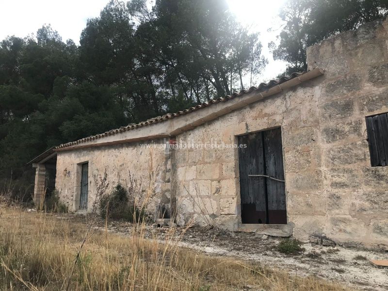Foto 54d891b1-3f07-497a-838e-759e327e55ee. Masia amb calefacció aparcament a Maria de la Salut
