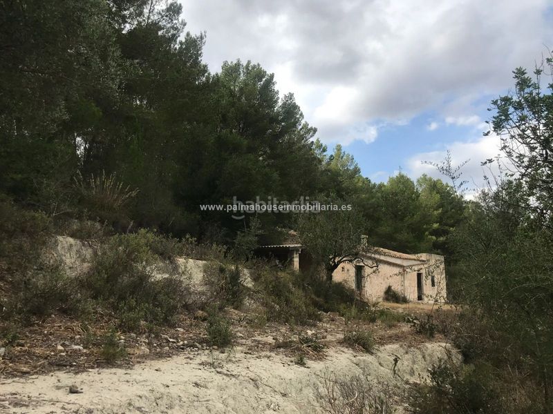 Foto 82f52343-1ca6-4c18-863d-fb7417971681. Masia amb calefacció aparcament a Maria de la Salut