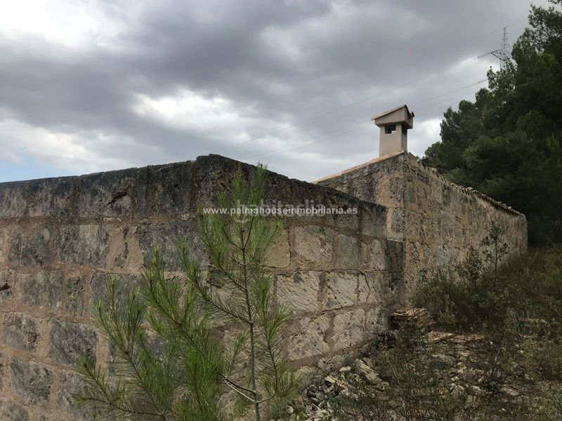 Foto 9e1c5998-9a24-4ffd-a6ac-19128d603c27. Masia amb calefacció aparcament a Maria de la Salut