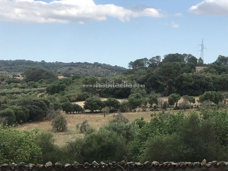 Foto 9f6bd486-a1a6-4a7d-ae98-42b08651ad2c. Masia amb calefacció aparcament a Maria de la Salut