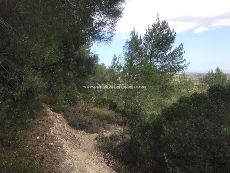 Foto a0b2408c-b862-4251-9395-92dd405c19e0. Masia amb calefacció aparcament a Maria de la Salut