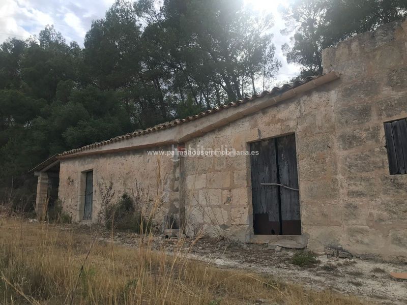 Foto dc2e2ae9-ebc5-474d-a1b9-6a1ee577069c. Masia amb calefacció aparcament a Maria de la Salut