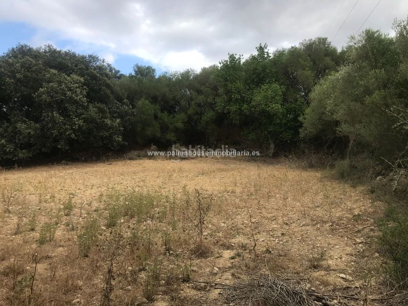 Foto ea917894-d1d1-47e9-a768-a59f0b903874. Masia amb calefacció aparcament a Maria de la Salut