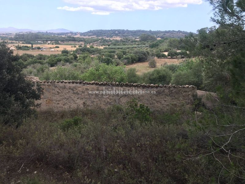 Foto f7cdb015-89ad-4643-a985-c064adf434be. Masia amb calefacció aparcament a Maria de la Salut