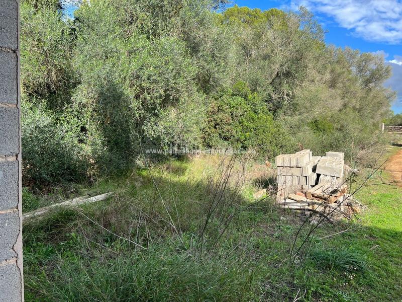 Foto 06506c74-f94a-42d1-831f-78ff1bfb7ec2. Residential plot in Algaida