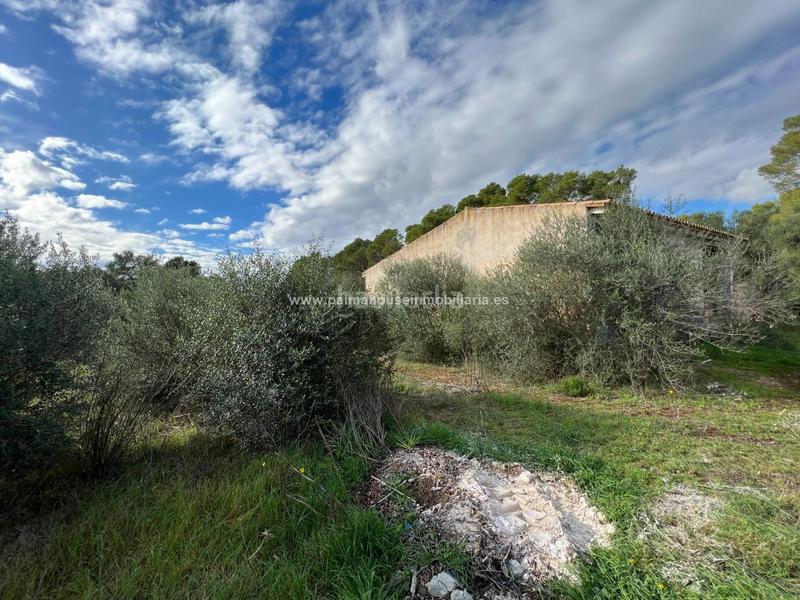 Foto 3f8aef33-6ea9-4c26-9abd-728a2d1b885f. Residential plot in Algaida