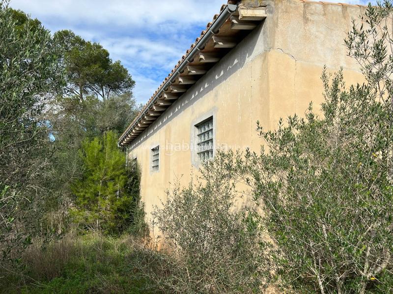 Foto 9acec166-8ae2-4b41-9266-a7638de62099. Residential plot in Algaida